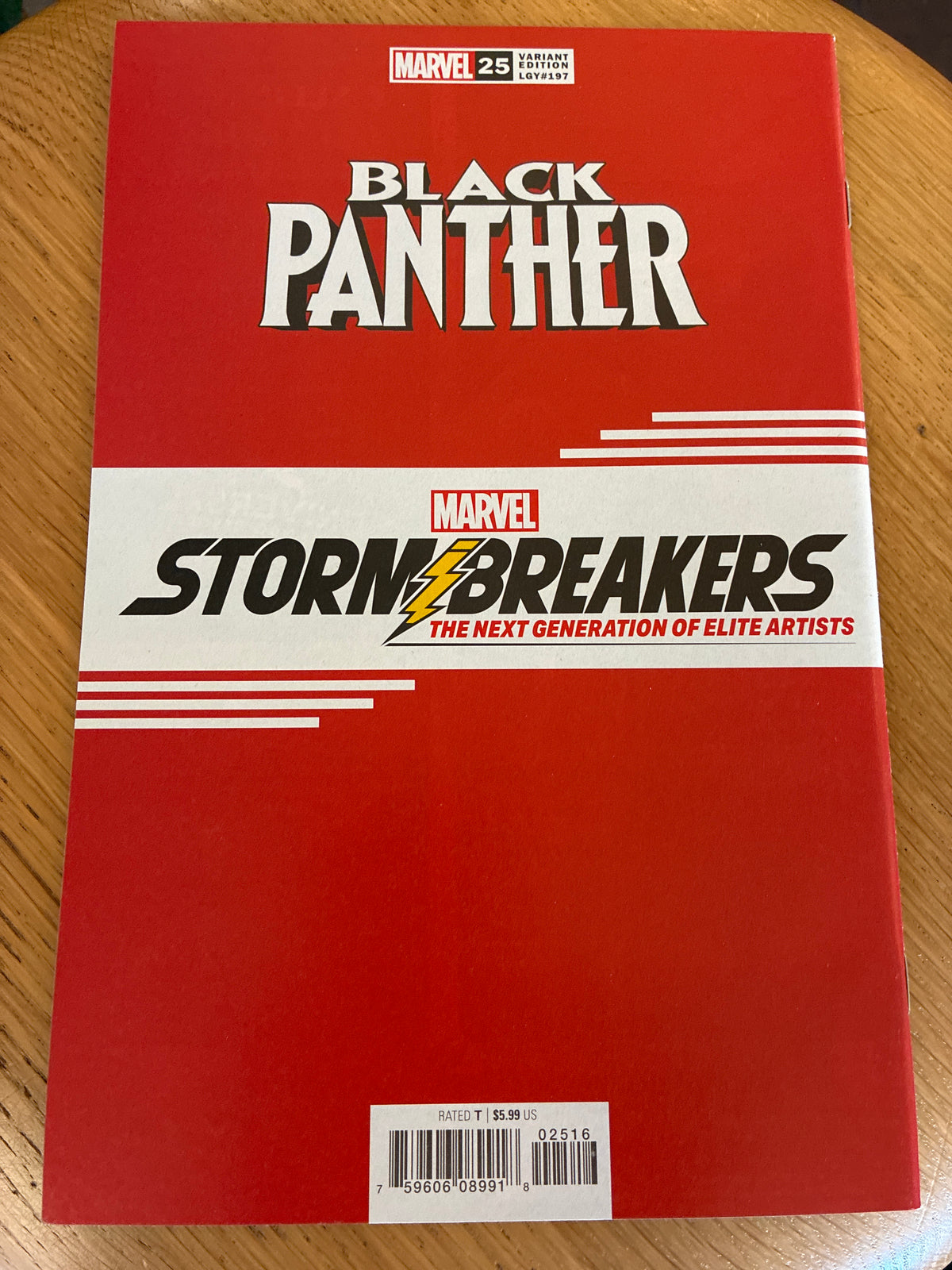 Black Panther #25 Peach Momoko Fine Art Variant (2021) Stormbreakers