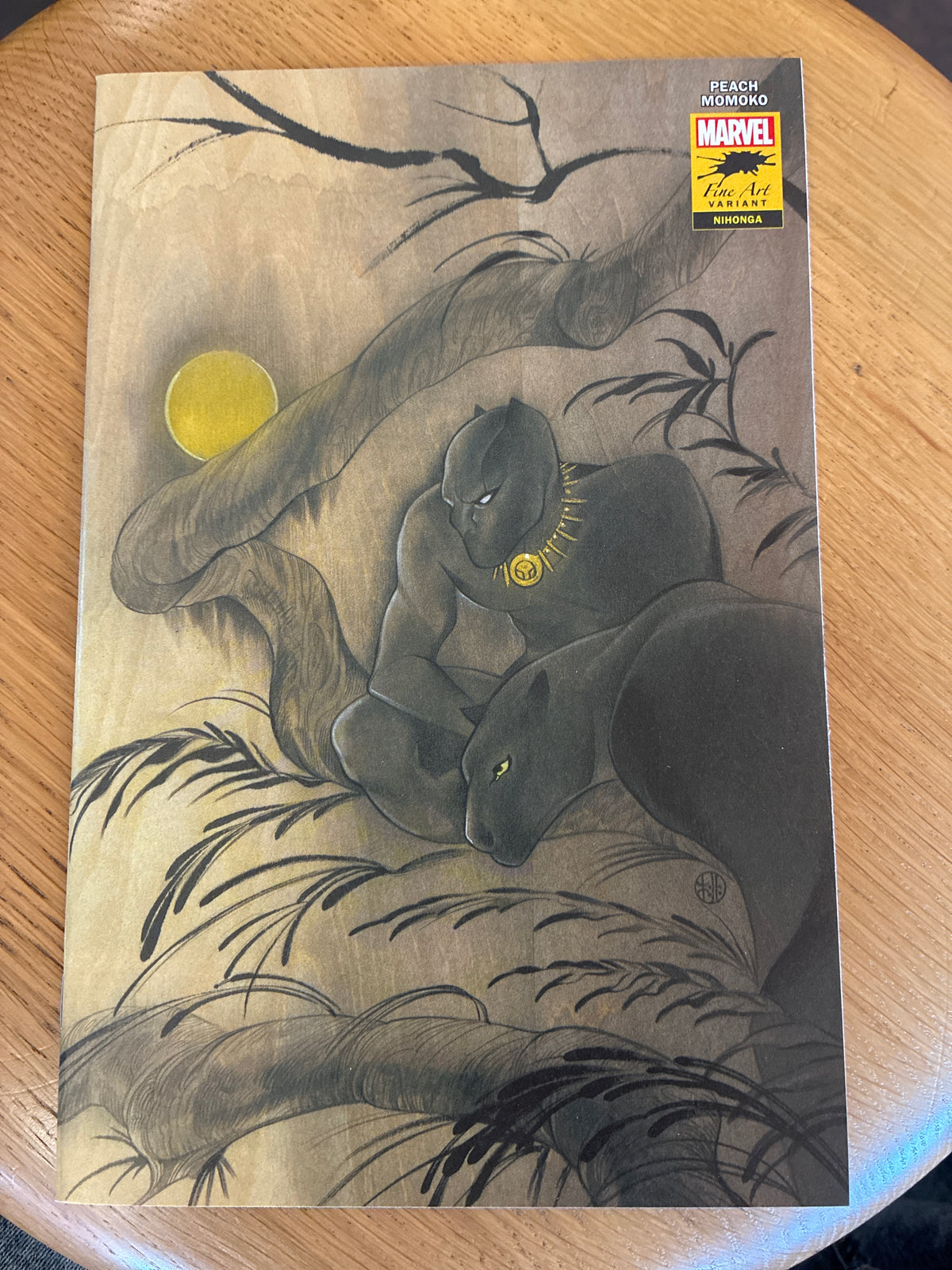 Black Panther #25 Peach Momoko Stormbreakers Variant Fine Art Edition