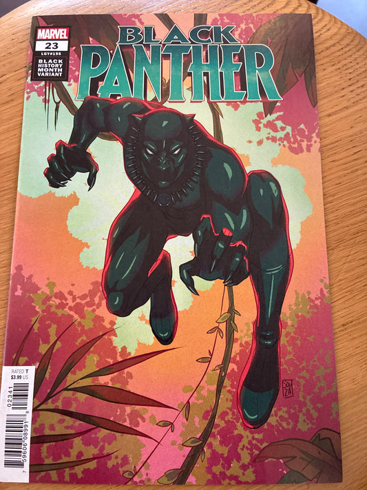 Black Panther #23 (2021) – Black History Month Variant – Mateus Manhanini Cover