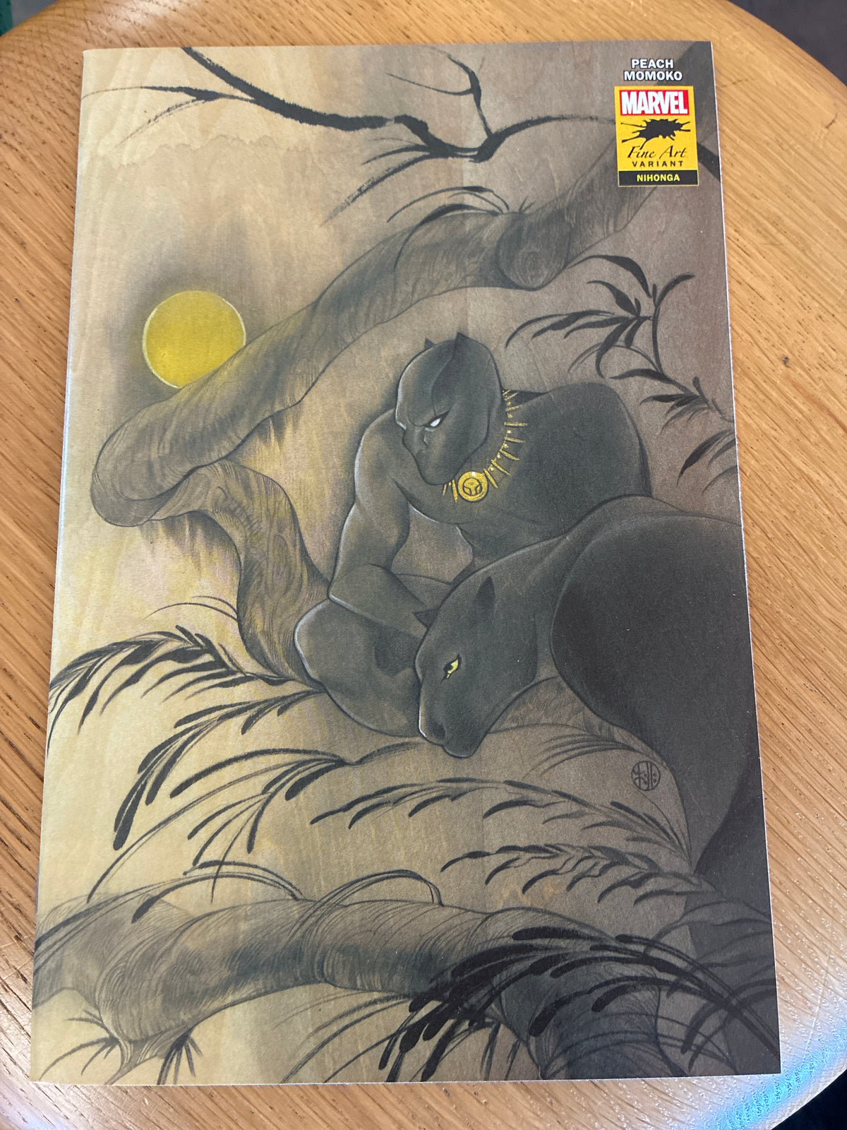 Black Panther #25 Peach Momoko Fine Art Variant (2021) Stormbreakers
